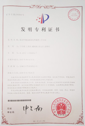 公司專利證書